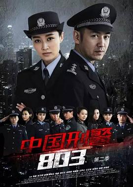 中国刑警803英雄本色 第35集