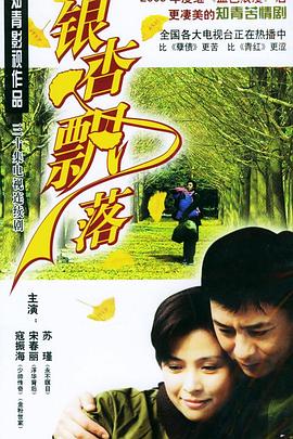 银杏飘落 第22集