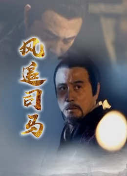 风追司马(全集)