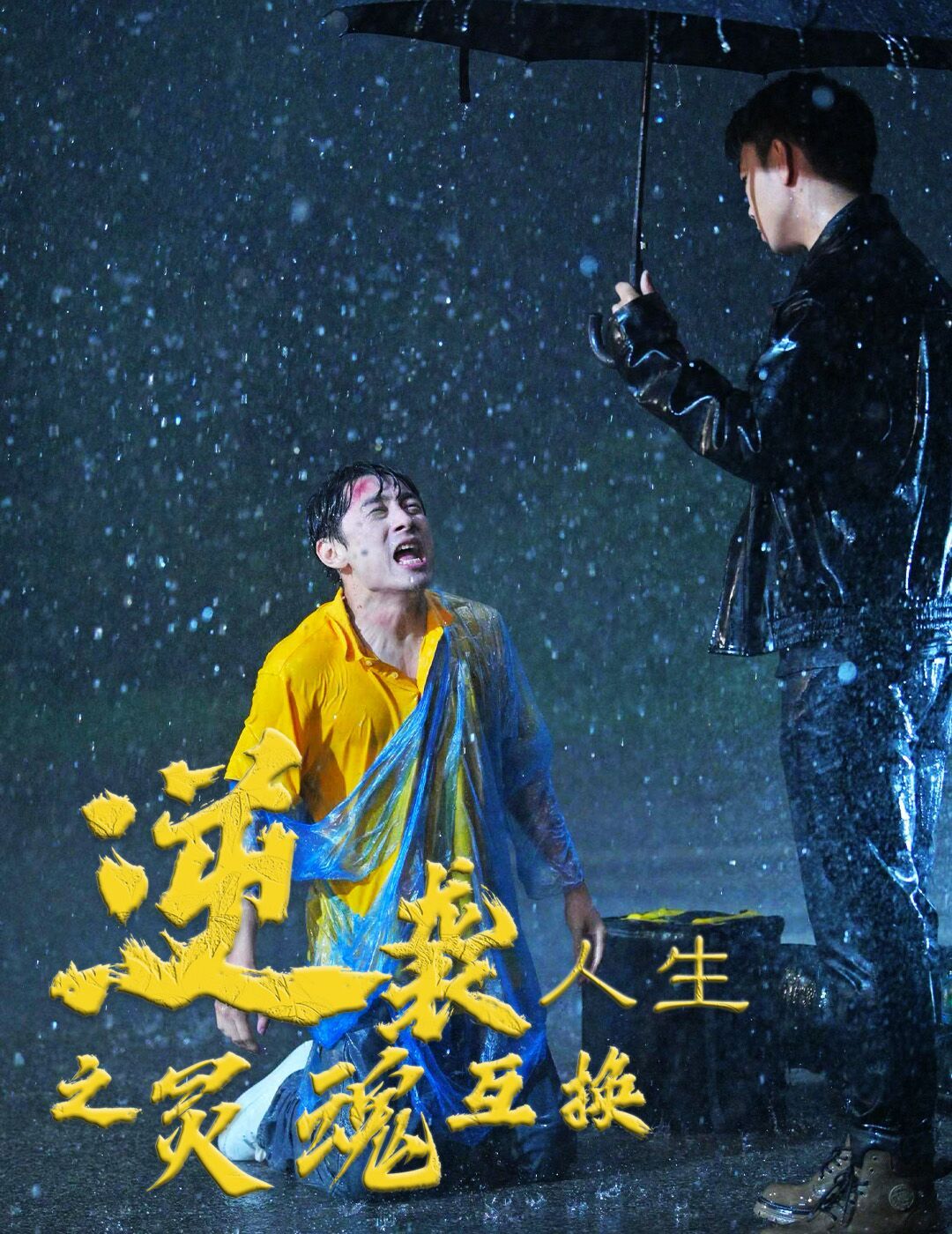 逆袭人生之灵魂互换 第21-40集