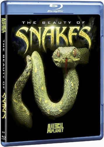 蛇的秘密(全集)