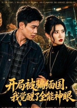 开局被骗缅国，我觉醒了全能神眼(全集)
