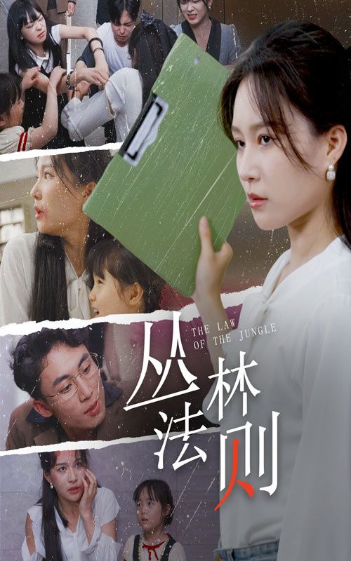 丛林法则 第1-29集完结(大结局)