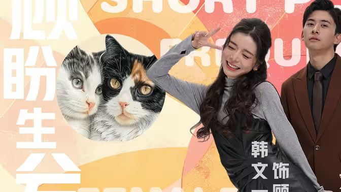 顾盼生兮 第41-60集